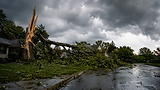 Emergency tree removal after storm in Fort Collins