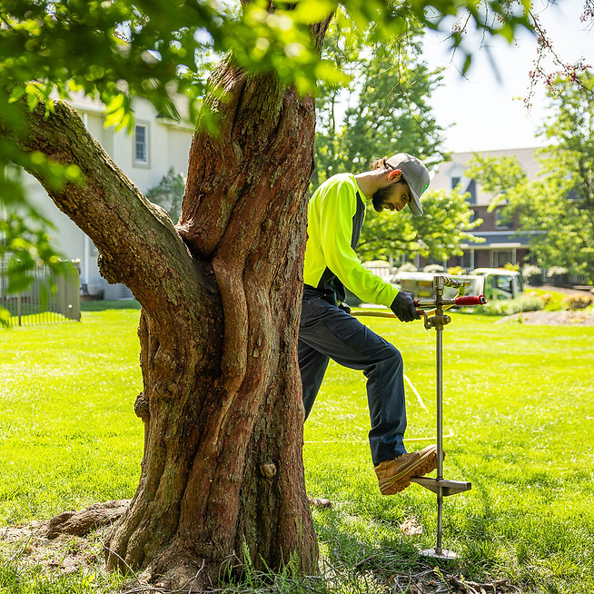 deep root fertilization 3.jpg