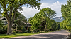 tree-pruning-image-3.png