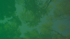 Diseño sin tÃtulo (63).png