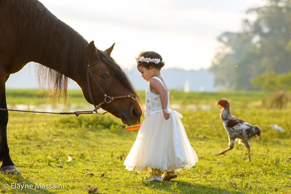 criança e cavalo