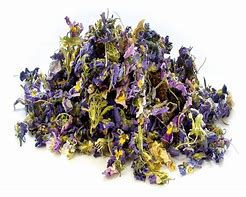 Thumbnail: Violets (Viola sp.)