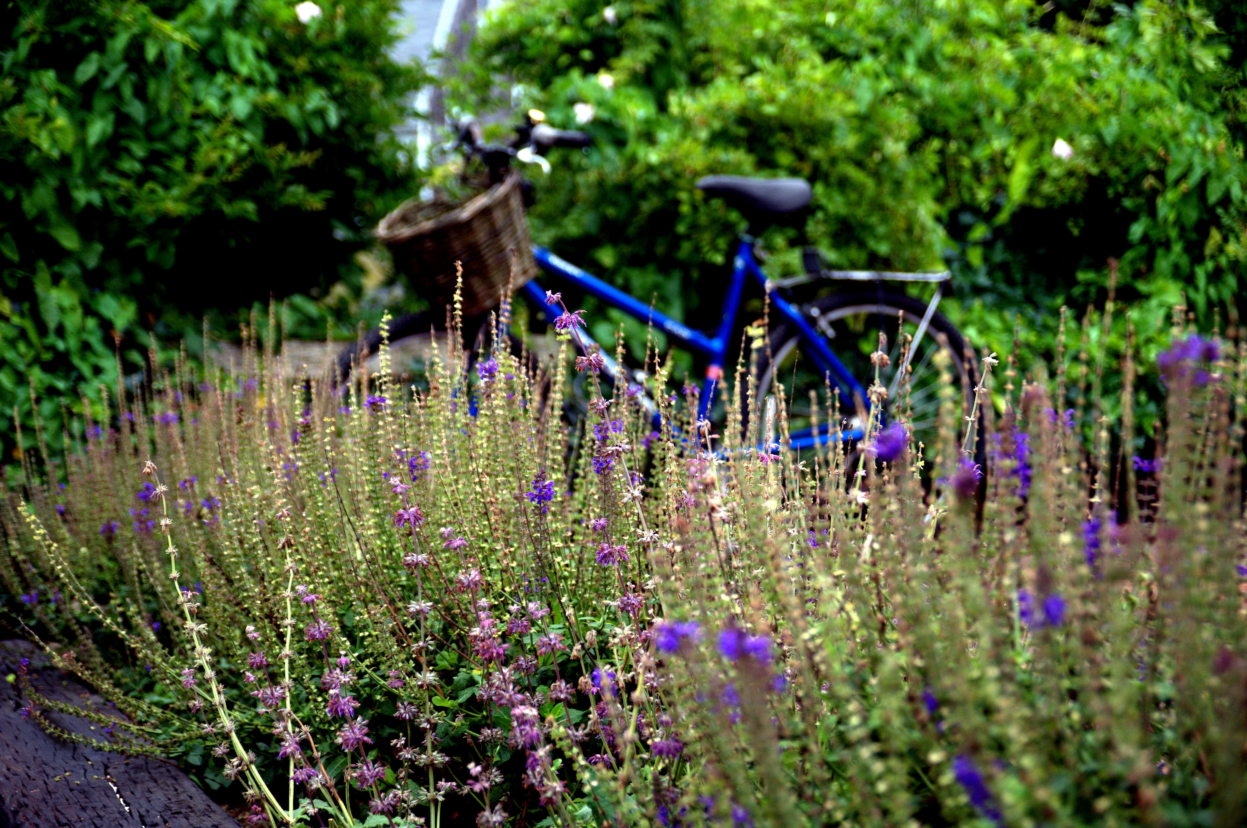 Nantucket