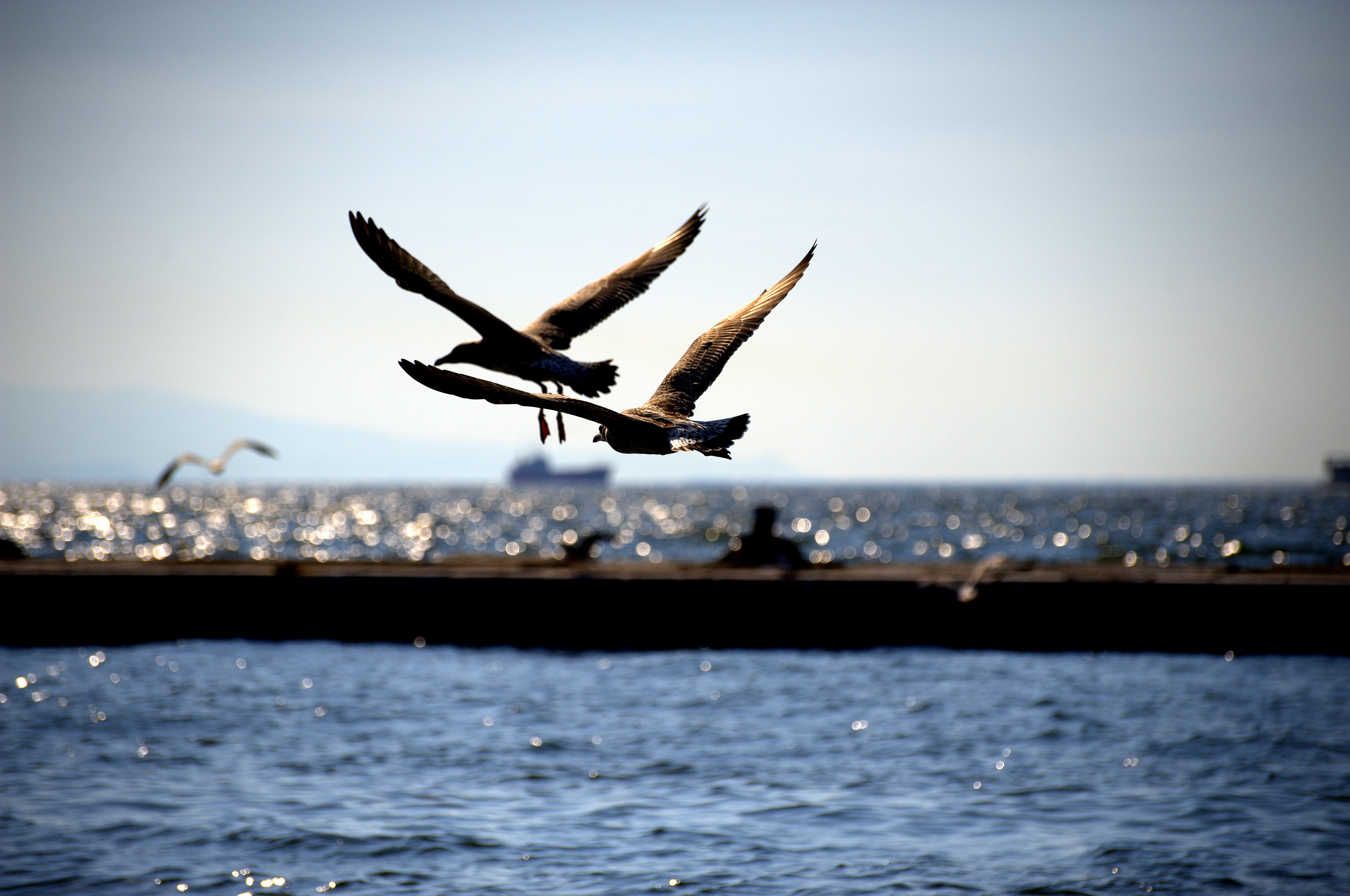 Izmir, Turkey