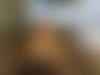 Pequeña capilla de piedra con puerta de madera, rodeada de árboles en un entorno otoñal. Cielo azul con nubes dispersas. Ambiente tranquilo.