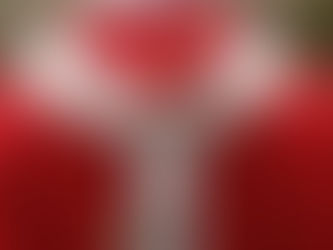 Primer plano de una vestidura roja de clérigo con estola blanca y cruces bordadas, sobre fondo desenfocado.