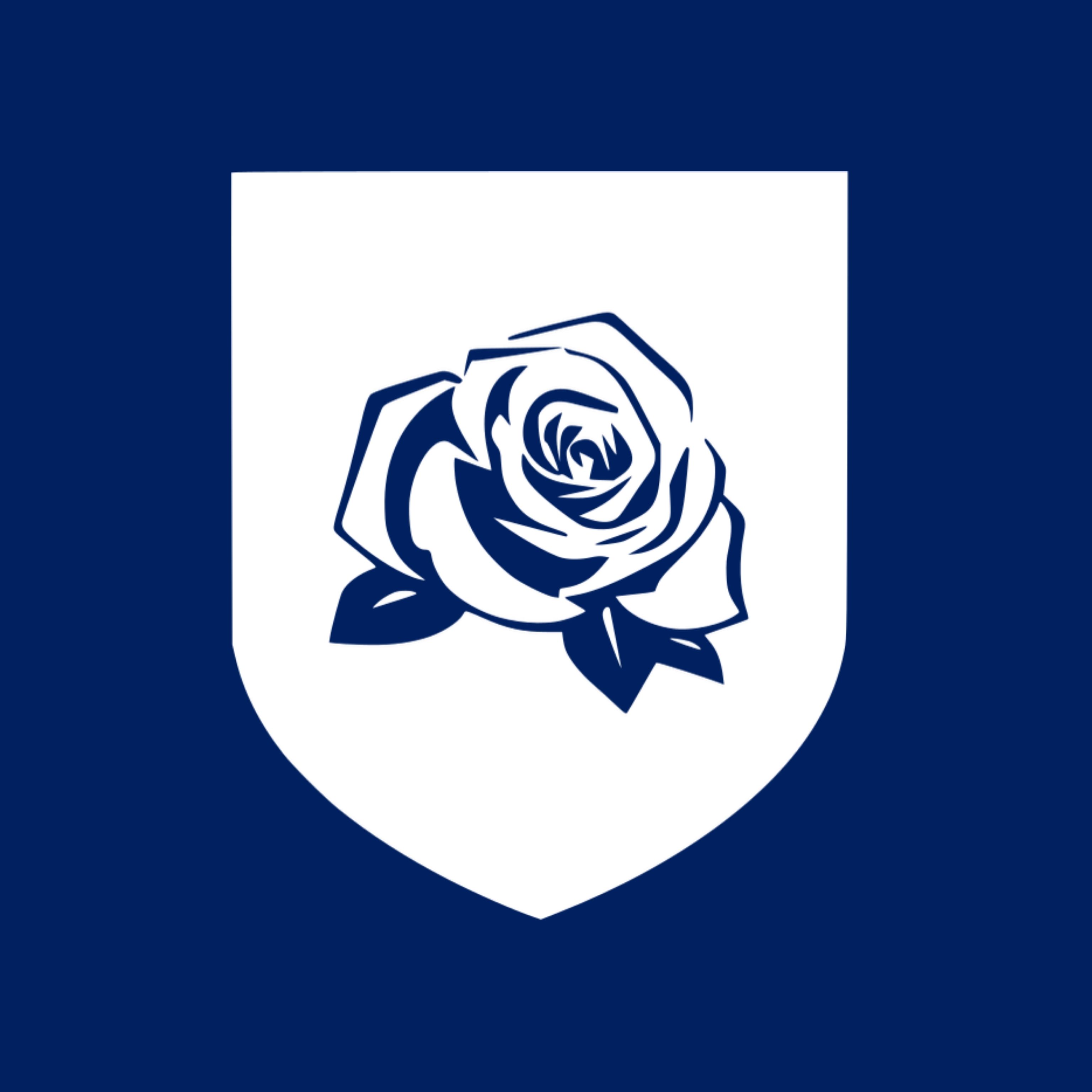 Writer: Academy by British Alumni Network