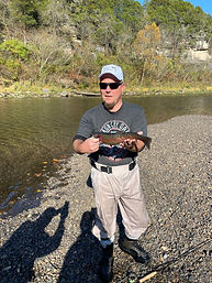 rainbow trout.png