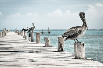 buy home in Playa del Carmen