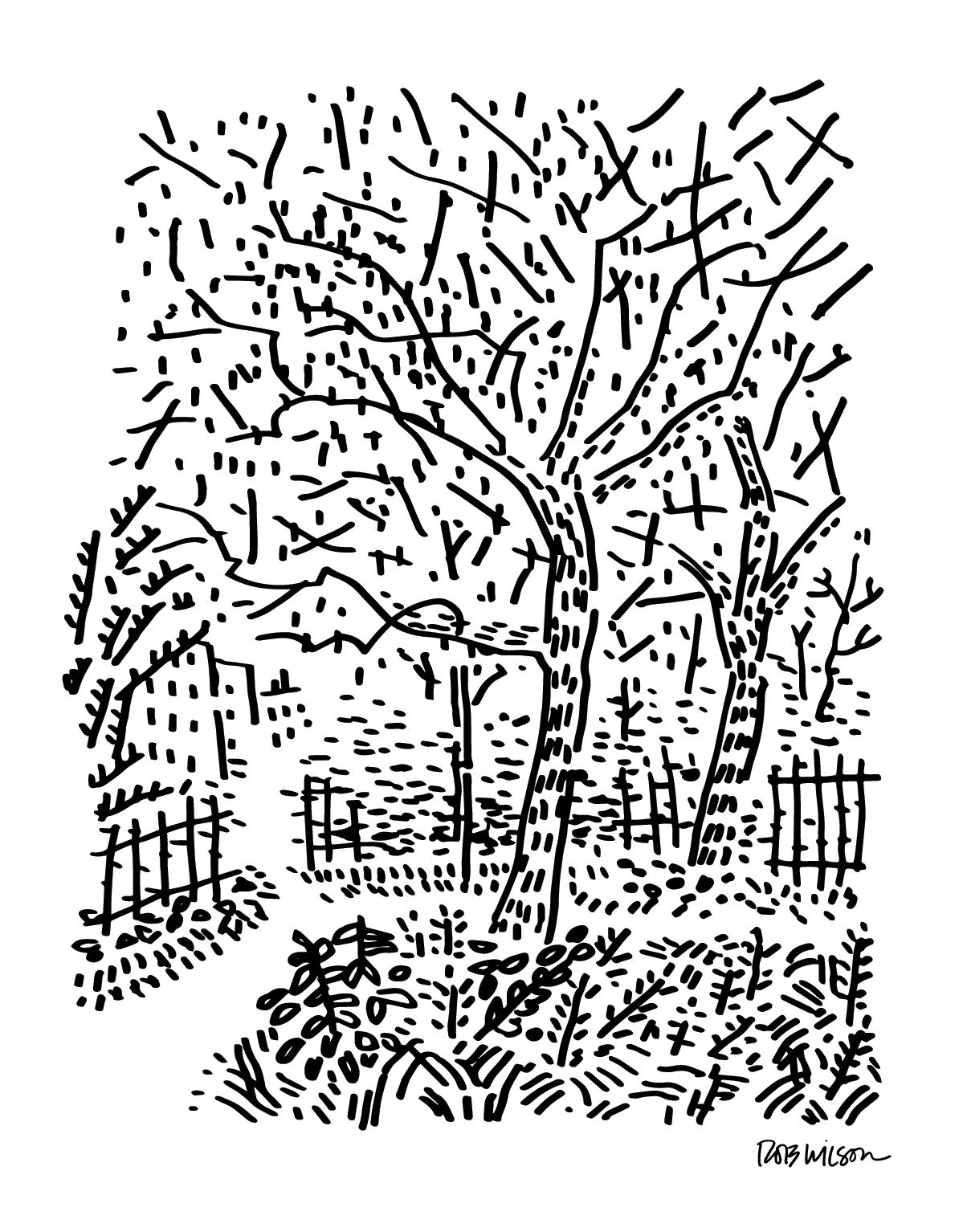 Pocket Park
