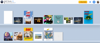 This image is a screenshot of 12 books that the MAET students created. There are books of different sizes, shapes and colors.