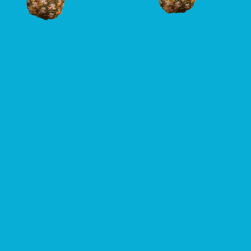 MAADCreatives_OINKLAI.gif