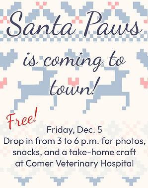 Vet Website Santa Event.png