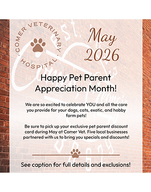 Vet Web Homepage Promo.png