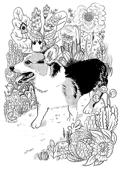 Colouring book - Corgi_web.jpg