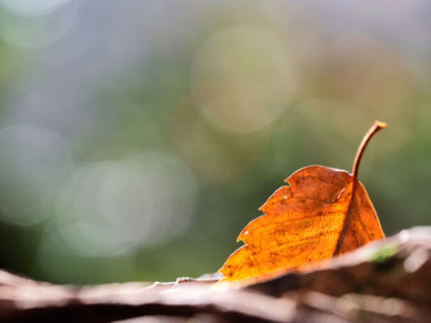 Sandankyo Hike in Autumn.