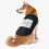 Thumbnail: Pet Tank Top