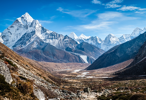 1cb12ad4bbe4047d21b499bed7fc28a2 (1).png