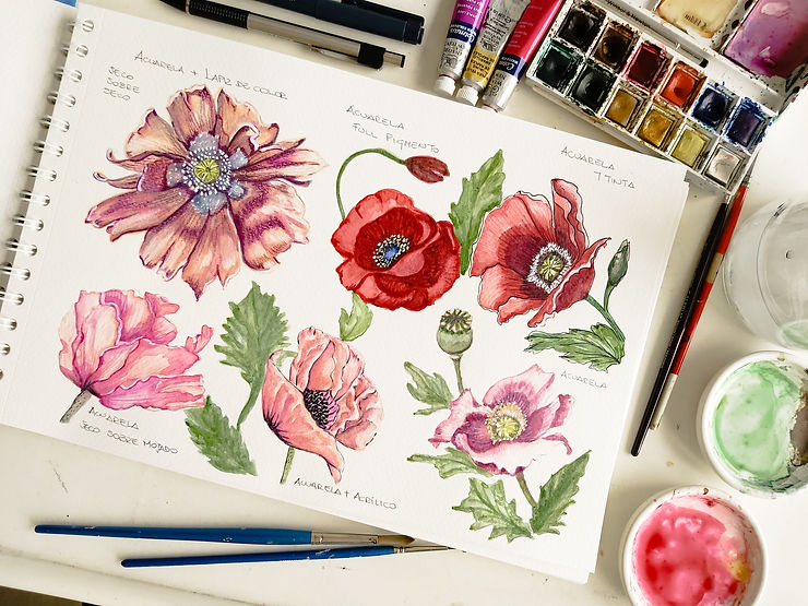 Seis flores de amapola pintadas en acuarela usando técnica mixta y diferentes colores
