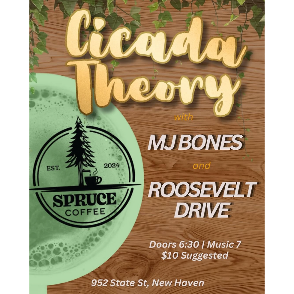 Live Music (Cicada Theory, MJ Bones, Roosevelt Drive)