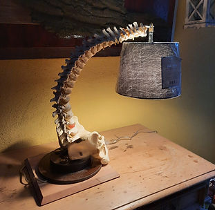 Wirbelsäulenlampe.jpg