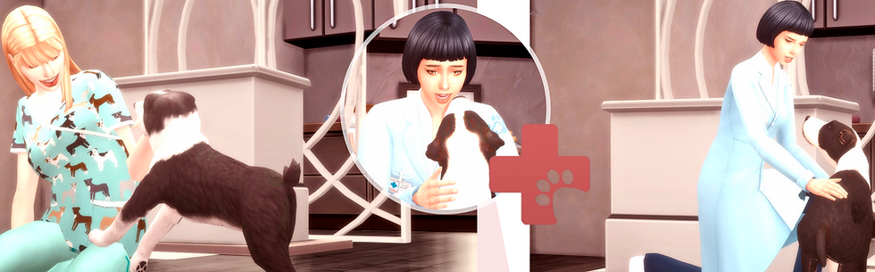 banner2.png
