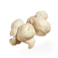 popcorn-1.png