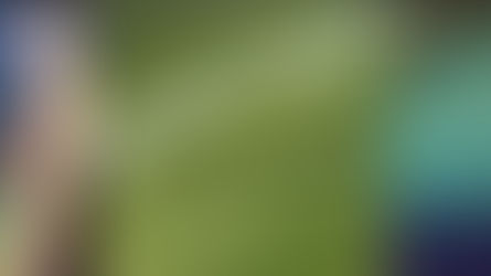 Red Tides, Green Lakes, Dead Zones: How a Single City Ordinance Could Change It All