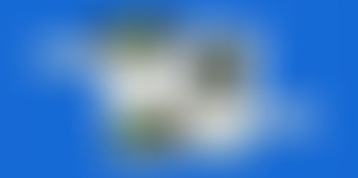 Terrariumazing: Bringing the Outdoors In, One Living Artwork at a Time