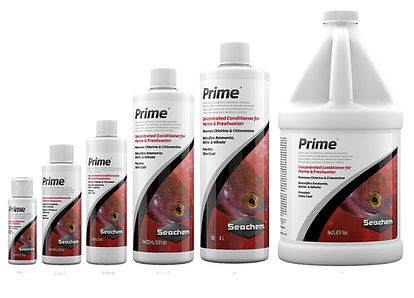 seachem prime bottles