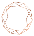 tetra.png