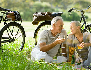 Romantic Picnic Couple