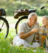 Romantic Picnic Couple