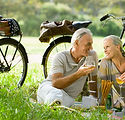 Romantic Picnic Couple