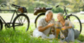 Romantic Picnic Couple