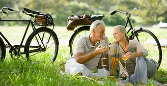 Romantic Picnic Couple