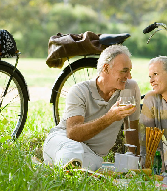 Romantic Picnic Couple