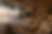 ChatGPT Image May 10, 2026 at 09_26_08 AM.png