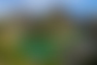 Gorgas de Guatizalema (Espagne)