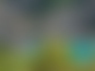 Castillo de Finestras (Espagne)