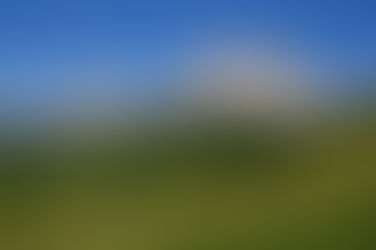 Le Grand Billare (64)