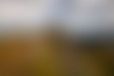 Montagnon d'Iseye/Mardas/Lasnères (64)