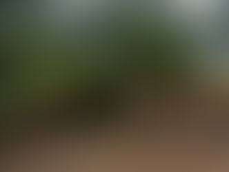 Îlet Aurère (La Réunion)