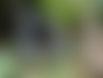 Mata Jitu, Moyo (Indonésie)