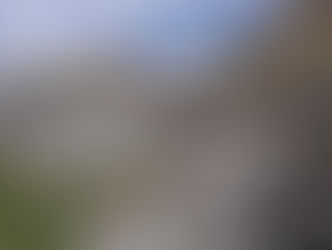 Faja de Las Flores (Espagne)