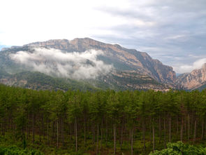 Pic Mungay ou El Graller (Espagne)