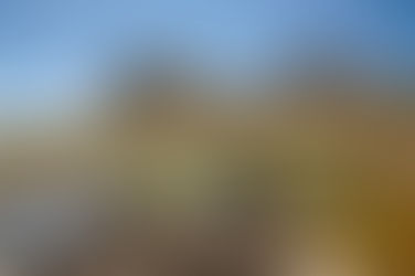 Sommet de Gialorgues (06)