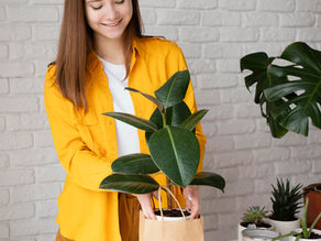 Corporate Gifting with Karat Farms