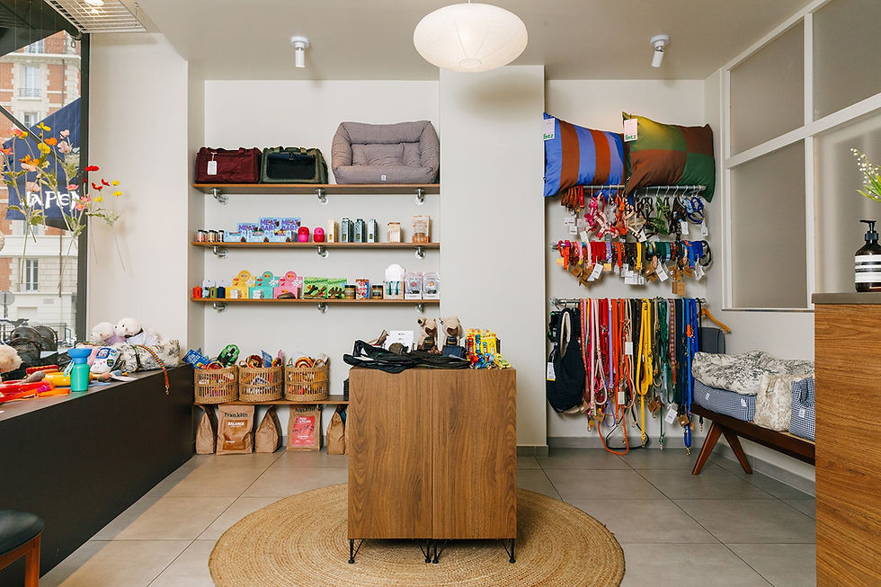 ginos-paris-boutique.jpg