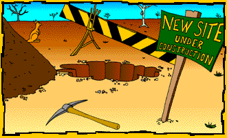 site en construction gif.gif